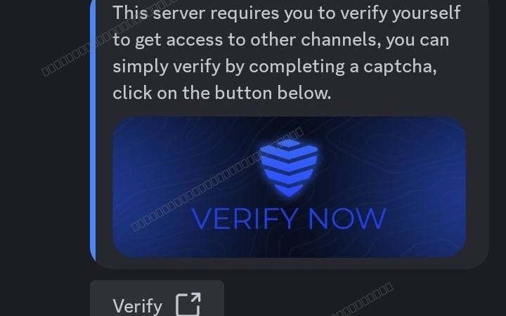 Discord Verification Logger.