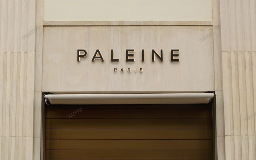 Paleine Paris logo mockup