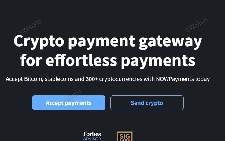 Crypto payment gateway landing page banner with NOWPayments text and buttons for accepting and sending crypto