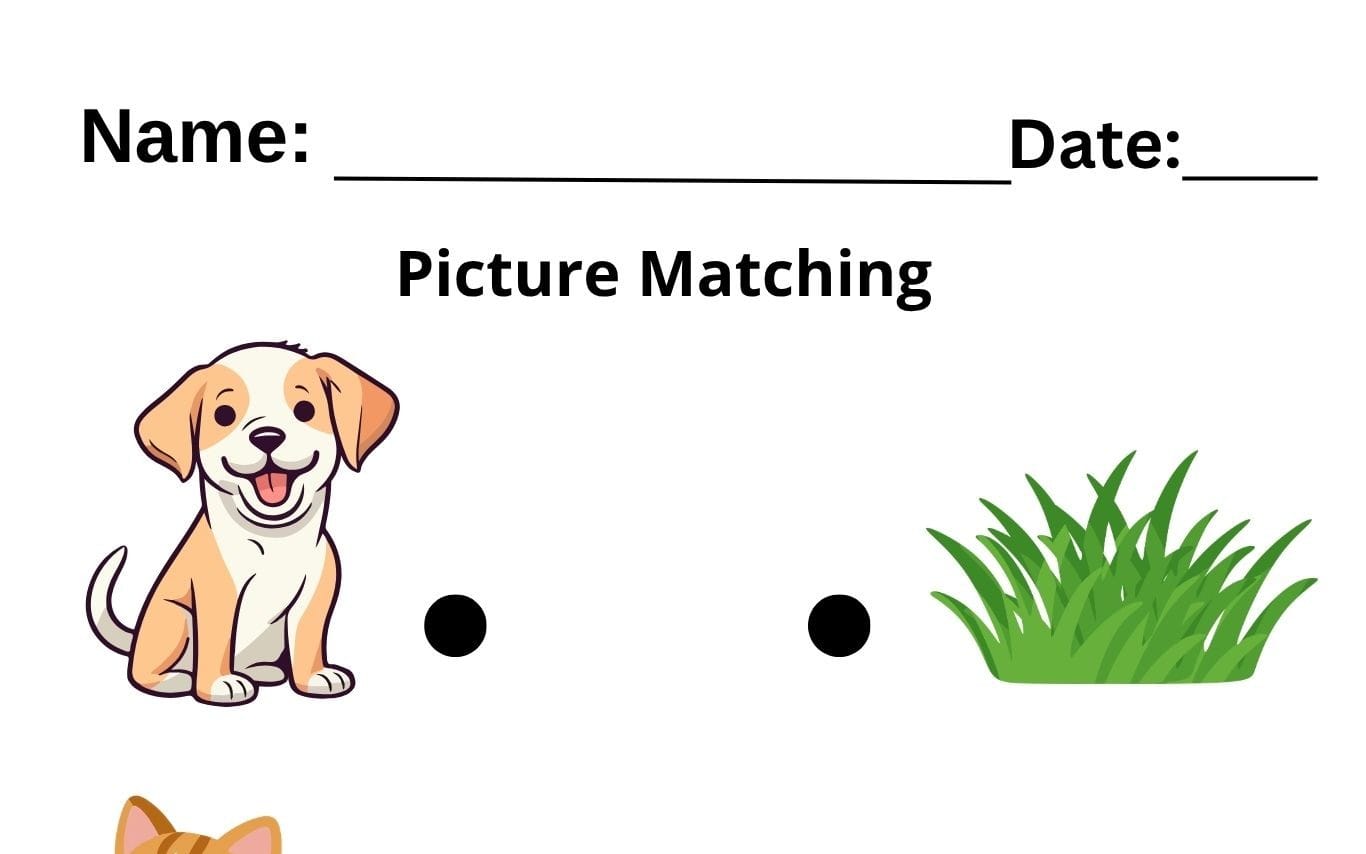 Picture Matching