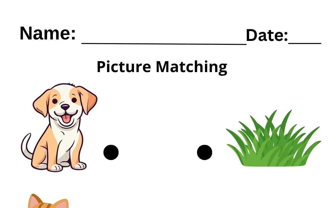 Picture Matching