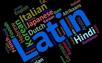 Colorful typographic collage of language names for Latin-focused language-learning digital product cover