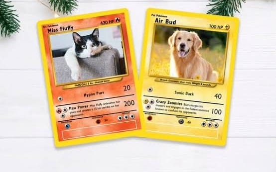 Pokemon