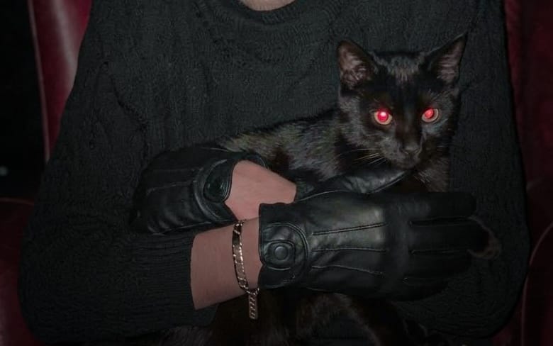 Person holding a black cat in dark clothing, promotional banner for an AI content mastery pack digital product