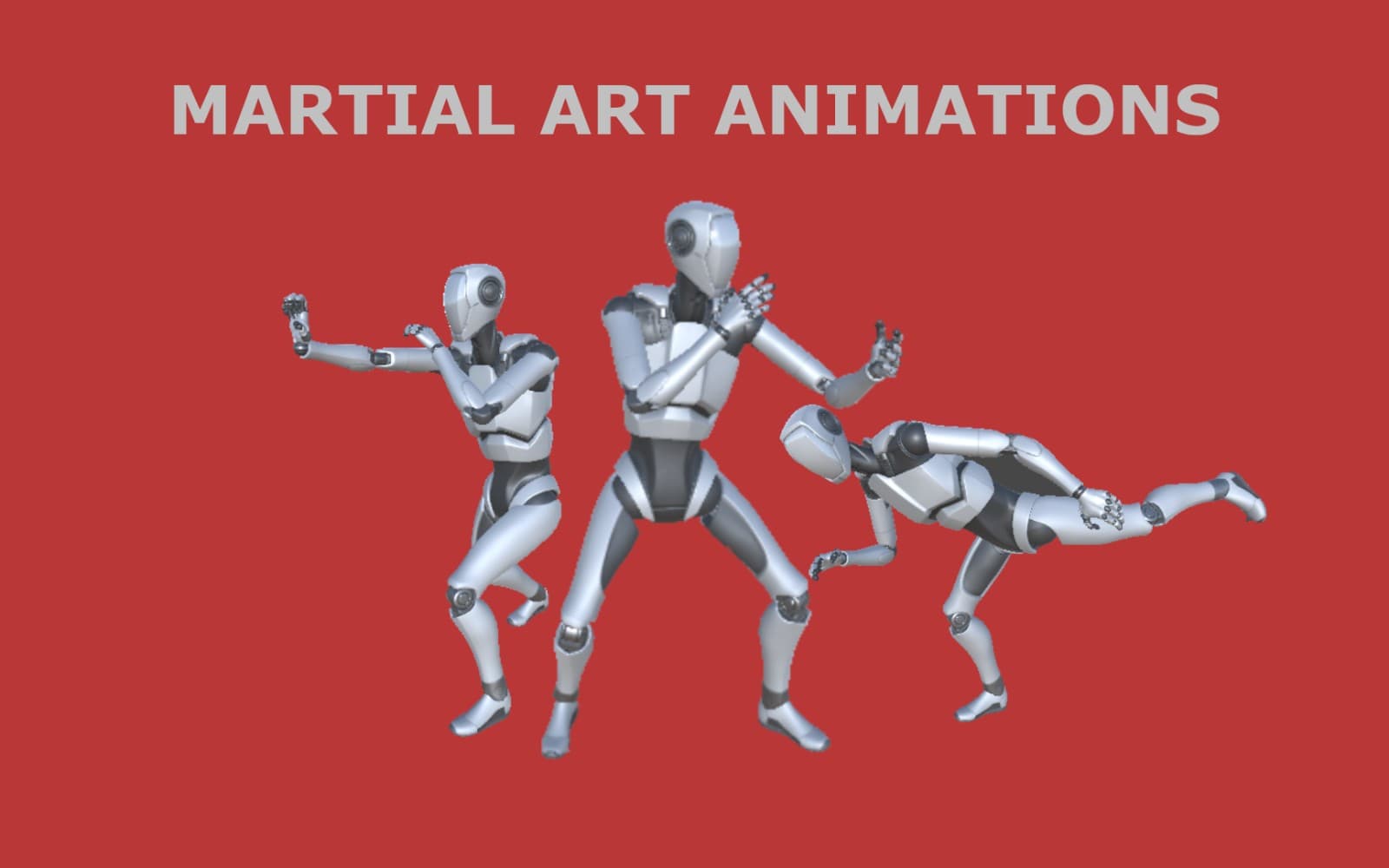 Martial Art Animations