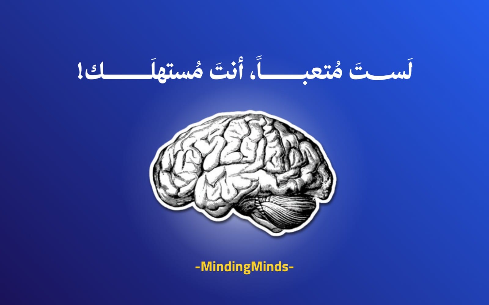 لست متعبًا. أنت مُستهلَك! دليل علمي.. 🧠