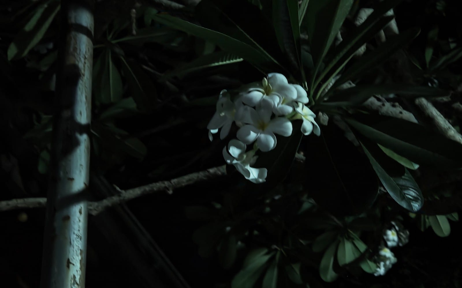 Night photos