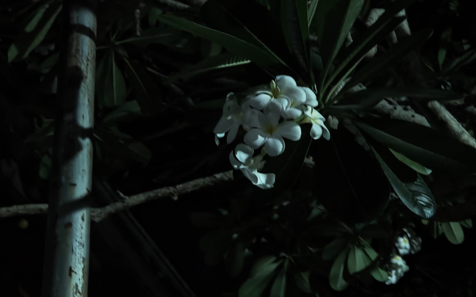 Night photos