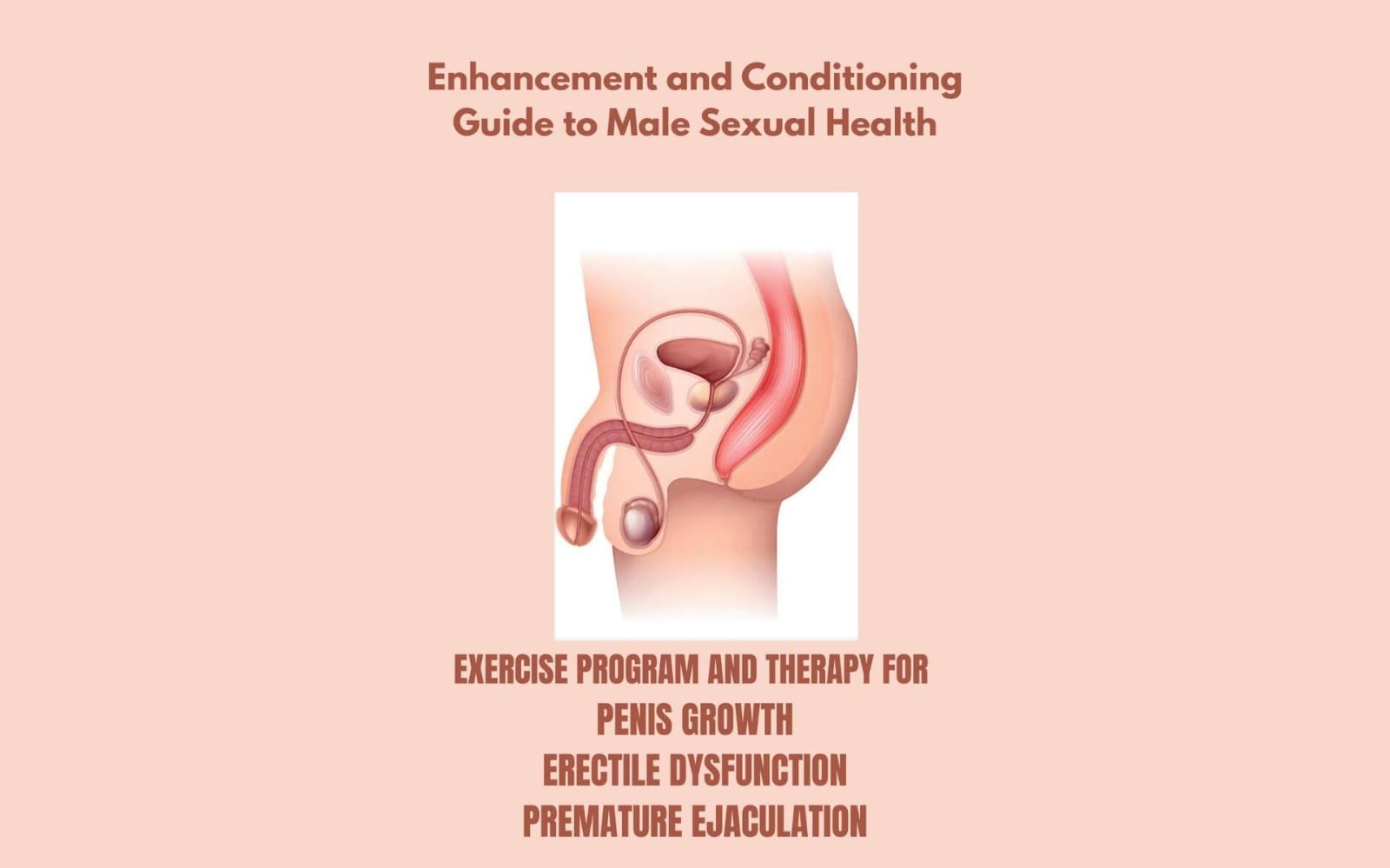 Male sexual health guide cover with illustrated male reproductive anatomy and text about exercise and therapy for