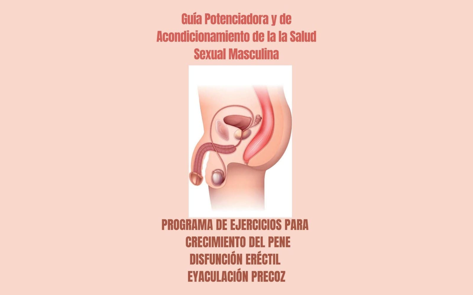 Portada de guía digital masculina 2026 en español sobre salud sexual, ejercicios y acondicionamiento con diagrama