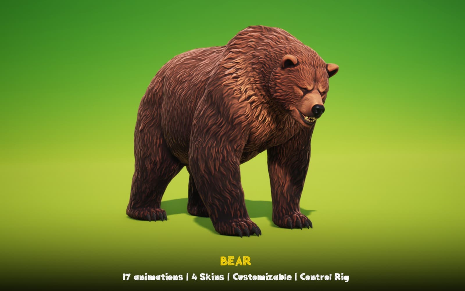 Bear