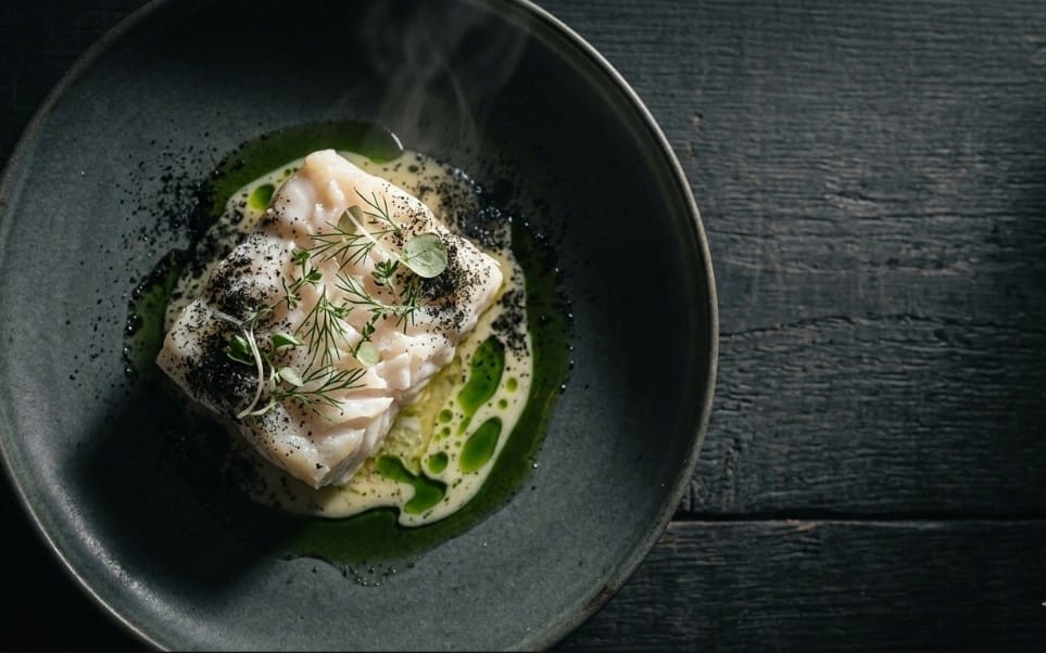 Gourmet plated fine-dining dish with seared fish on dark sauce, promotional hero-shot prompt background
