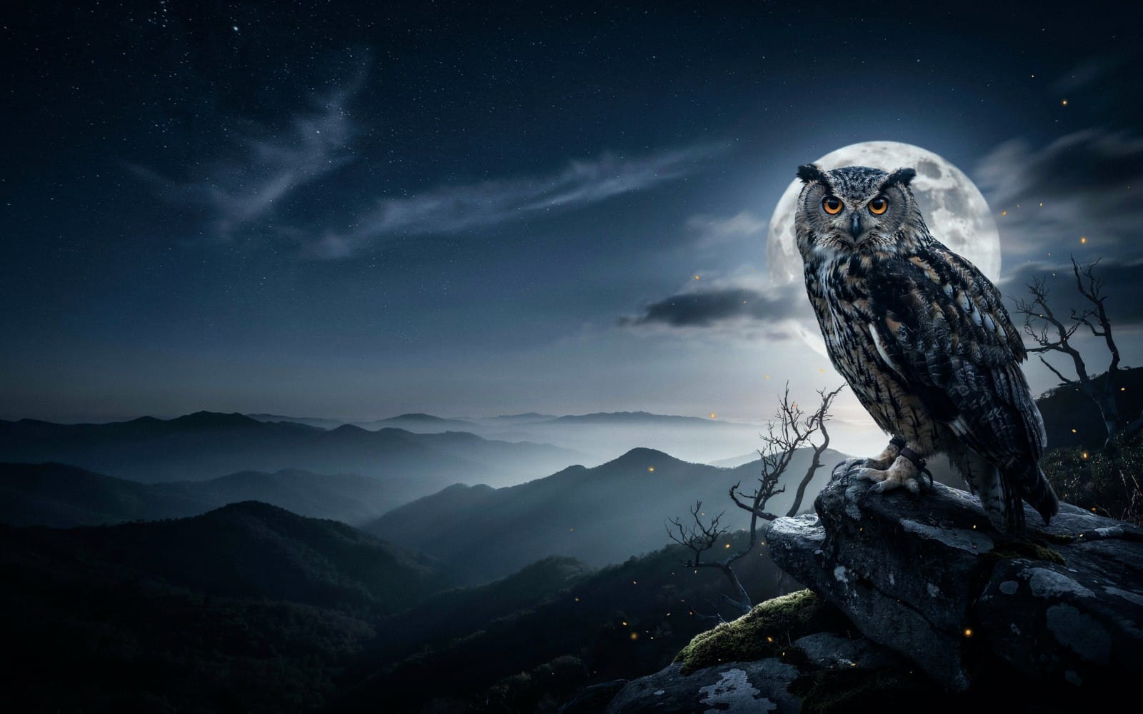 Moonlit Owl