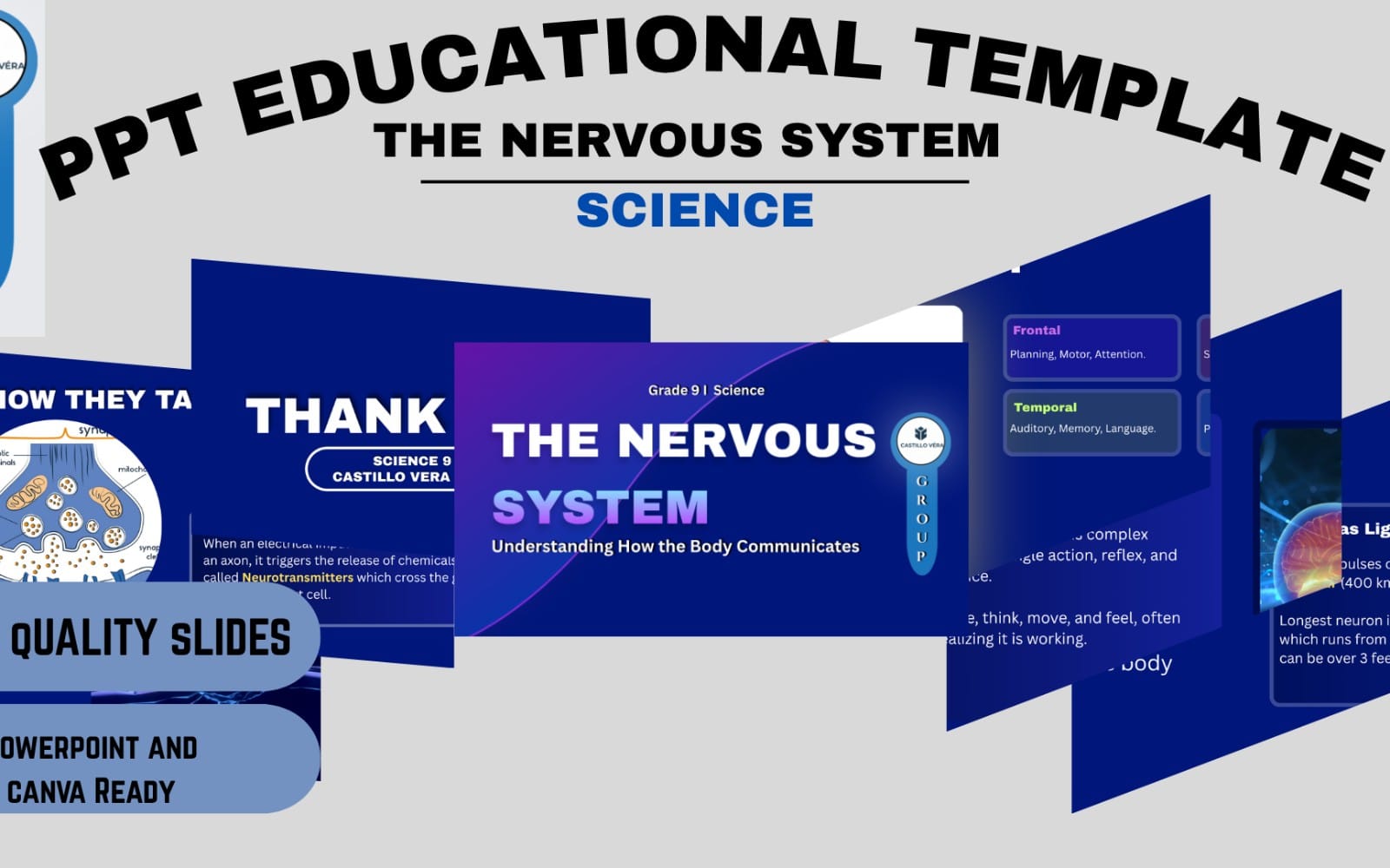 The Nervous System PowerPoint Template