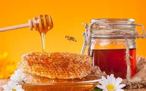 Pure Organic Honey from the Island of Jamaica