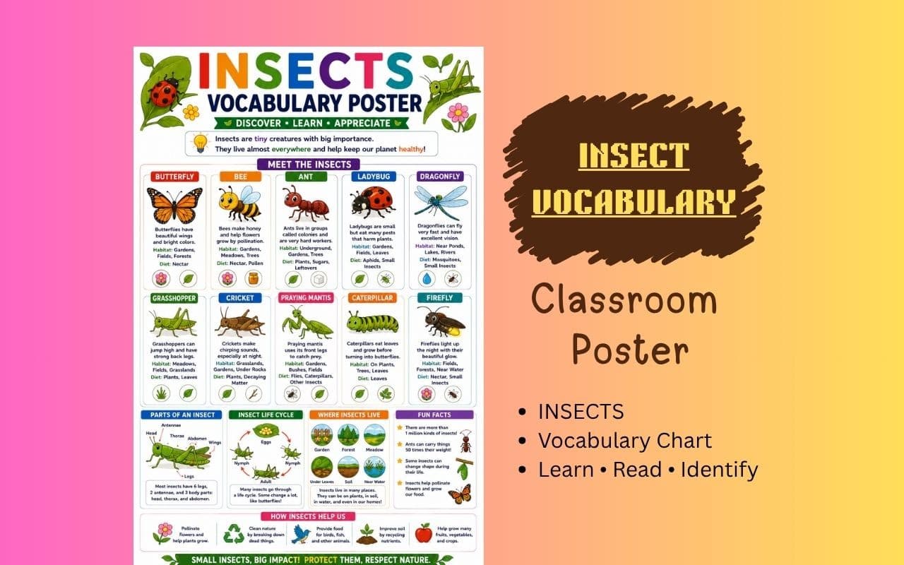 Insects Vocabulary Poster | Printable Insect Names with Pictures Chart for Kids | Preschool, Kindergarten & ESL Classroom