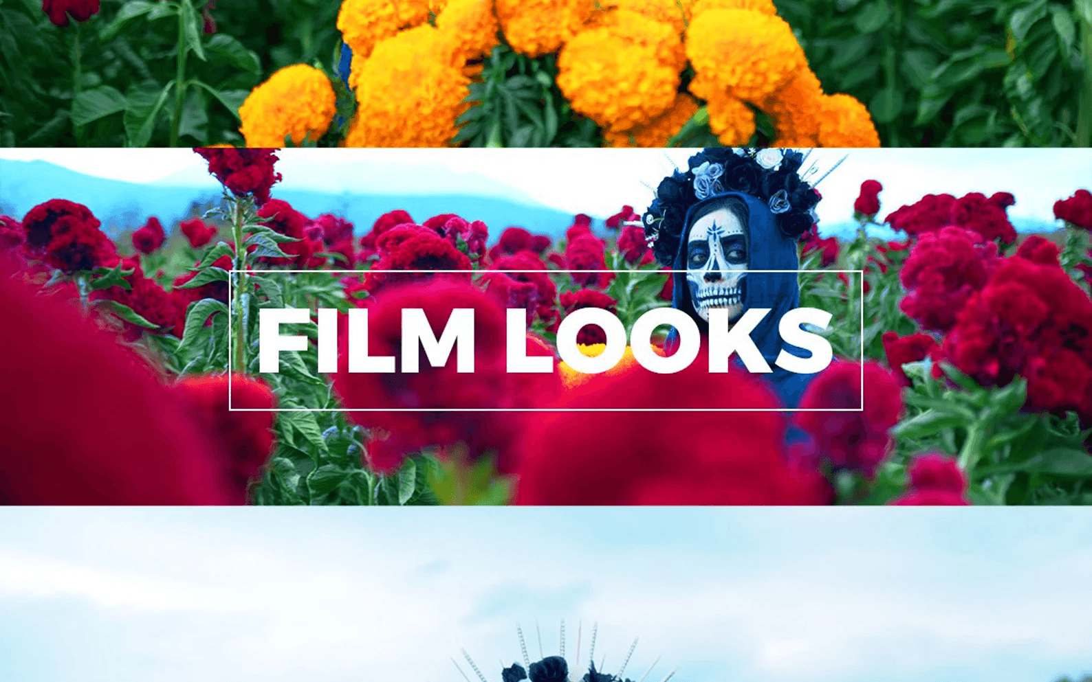Colorful cinematic LUT preset preview for BMPCC 4K/6K, showing graded footage and Film Looks text overlay