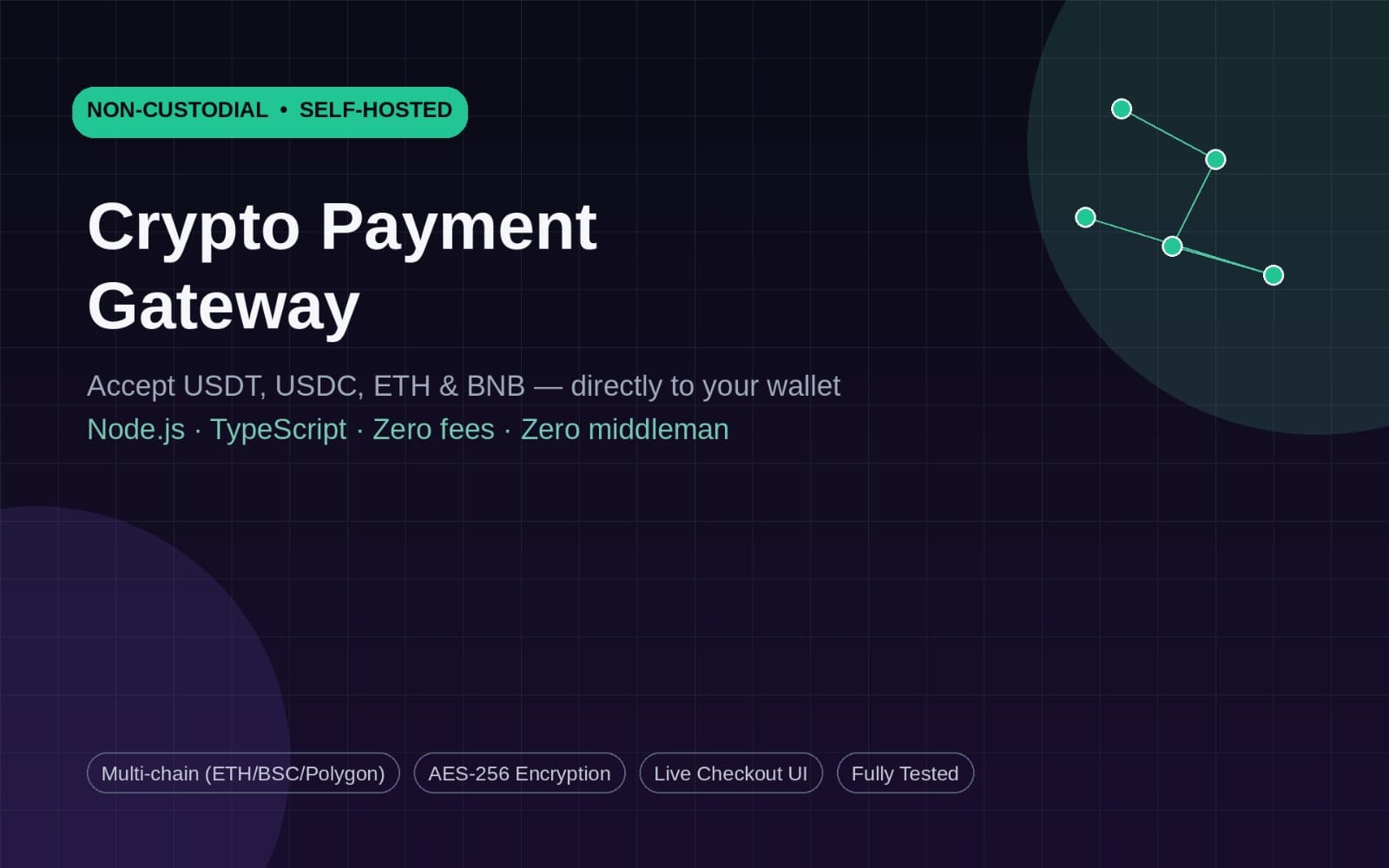 Non-custodial crypto payment gateway dashboard graphic for Node.js and TypeScript with wallet checkout features