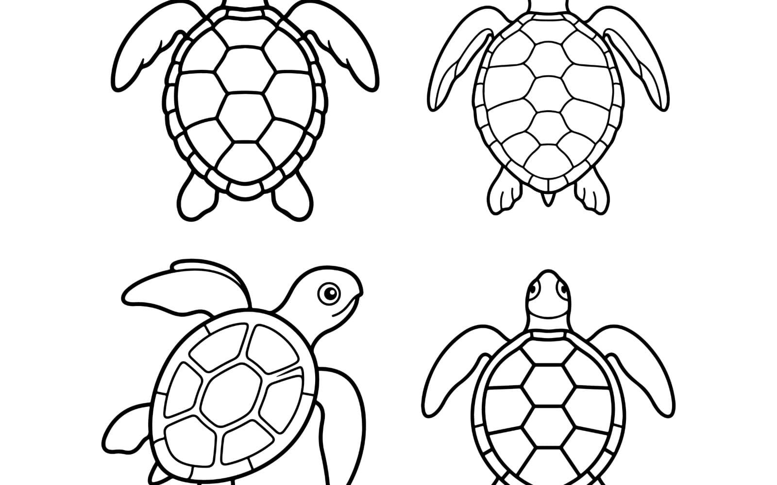 World Turtle Day Cute Cartoon Baby Turtle Character Set