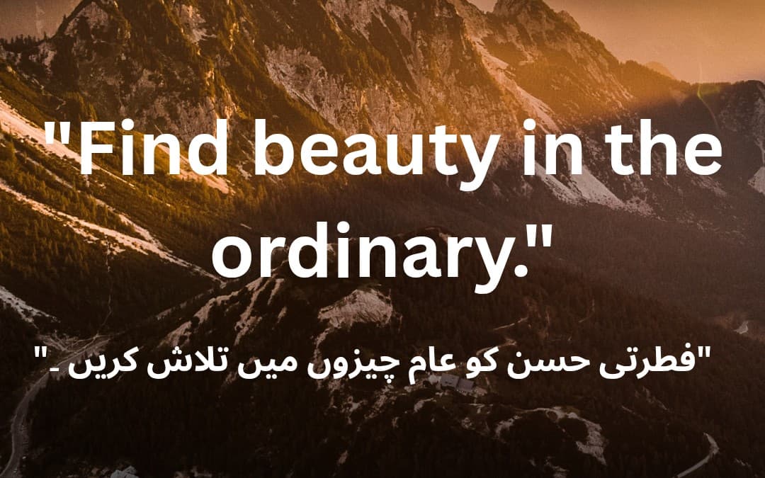 Aesthetic Instagram Quote Bundle