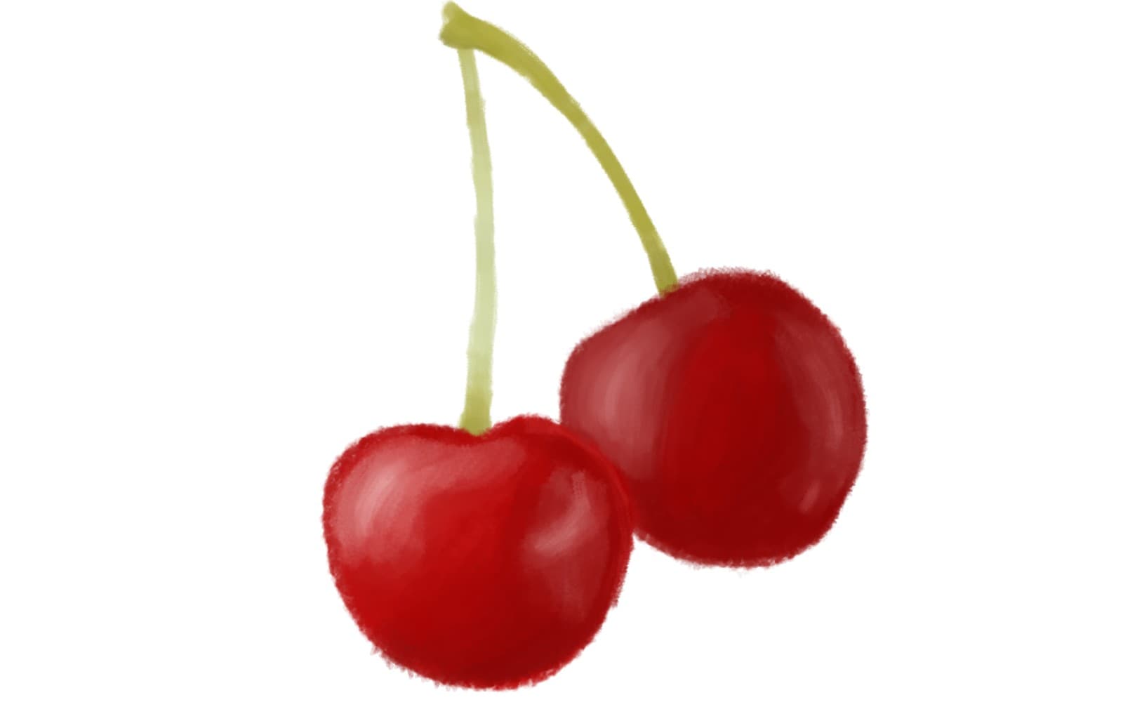 Cherry Fruit Illustration