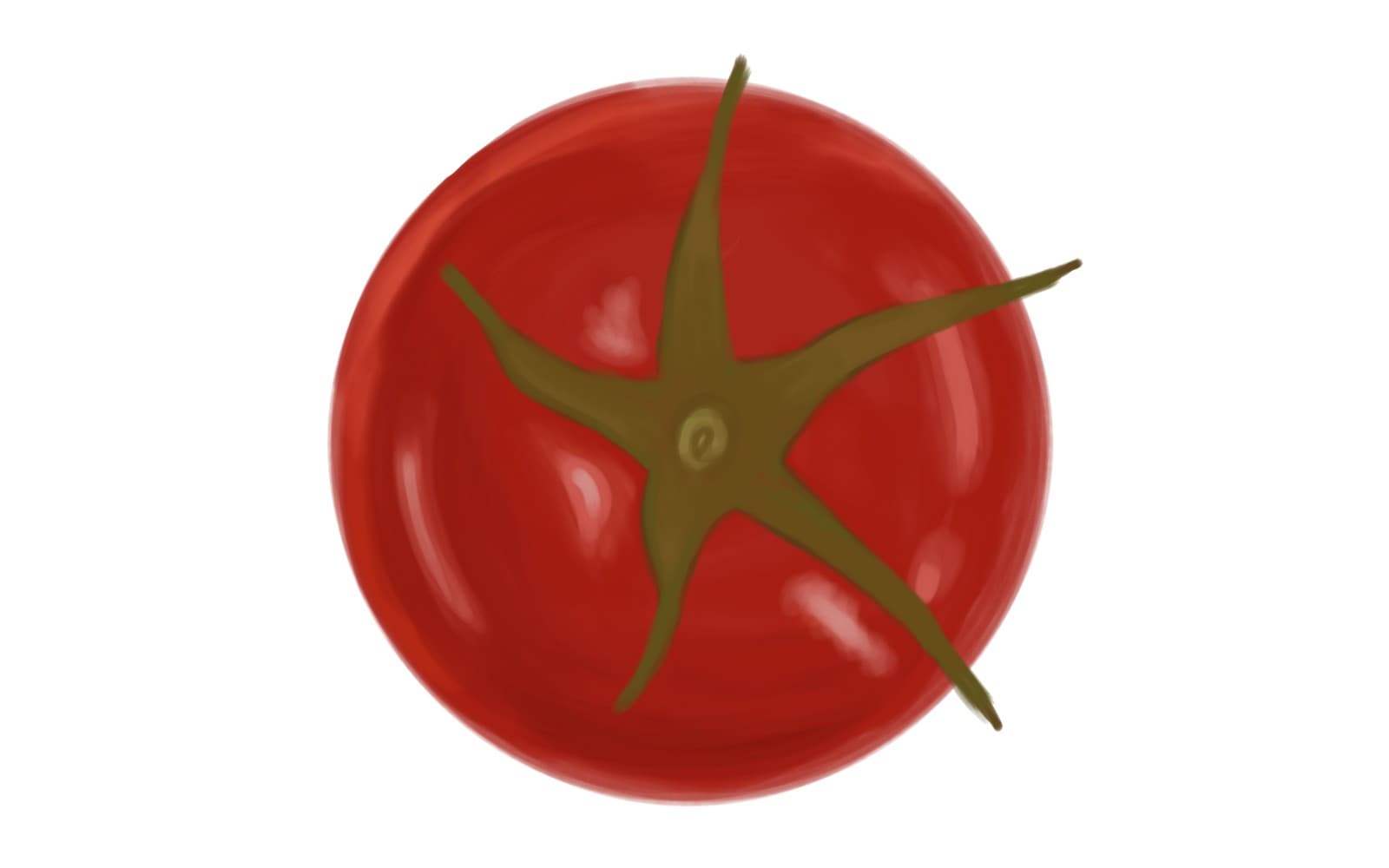Realistic Tomato Icon Illustration