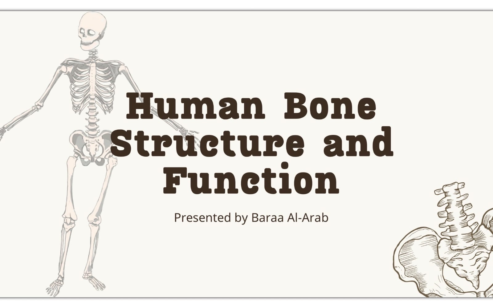 Bone anatomy