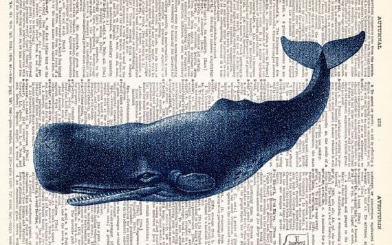 AlphaWhaleSniper