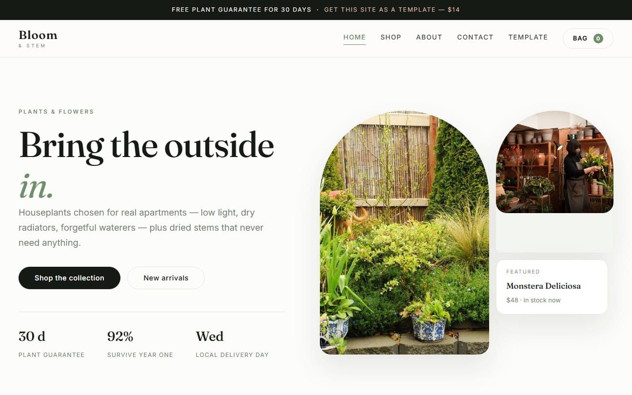 Bloom & Stem plants and flowers store website template preview with hero banner, product card, and navigation bar