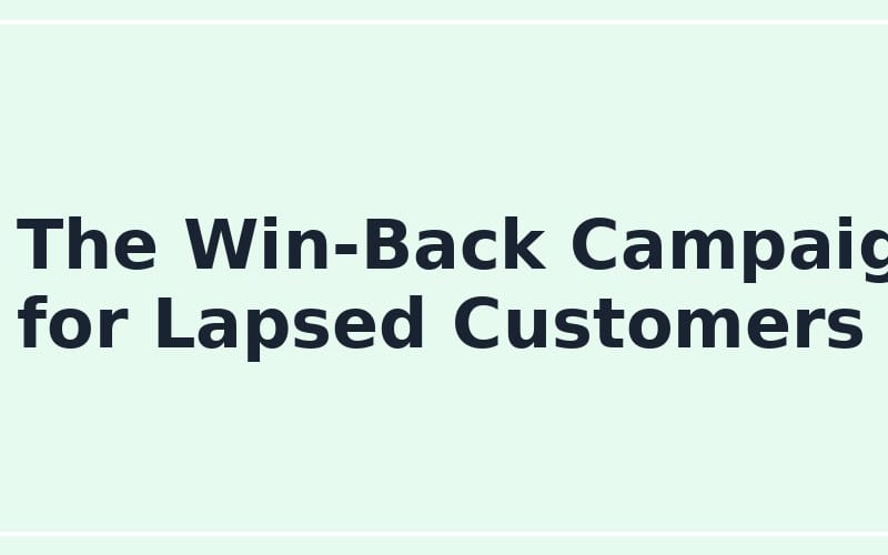 The Win-Back Campaign for Lapsed Customers online seller prompt text on a light background