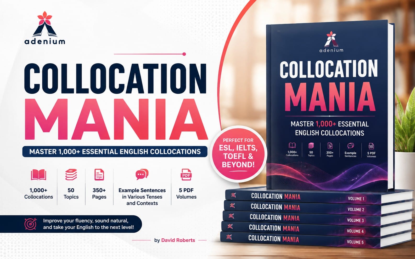 Collocation Mania
