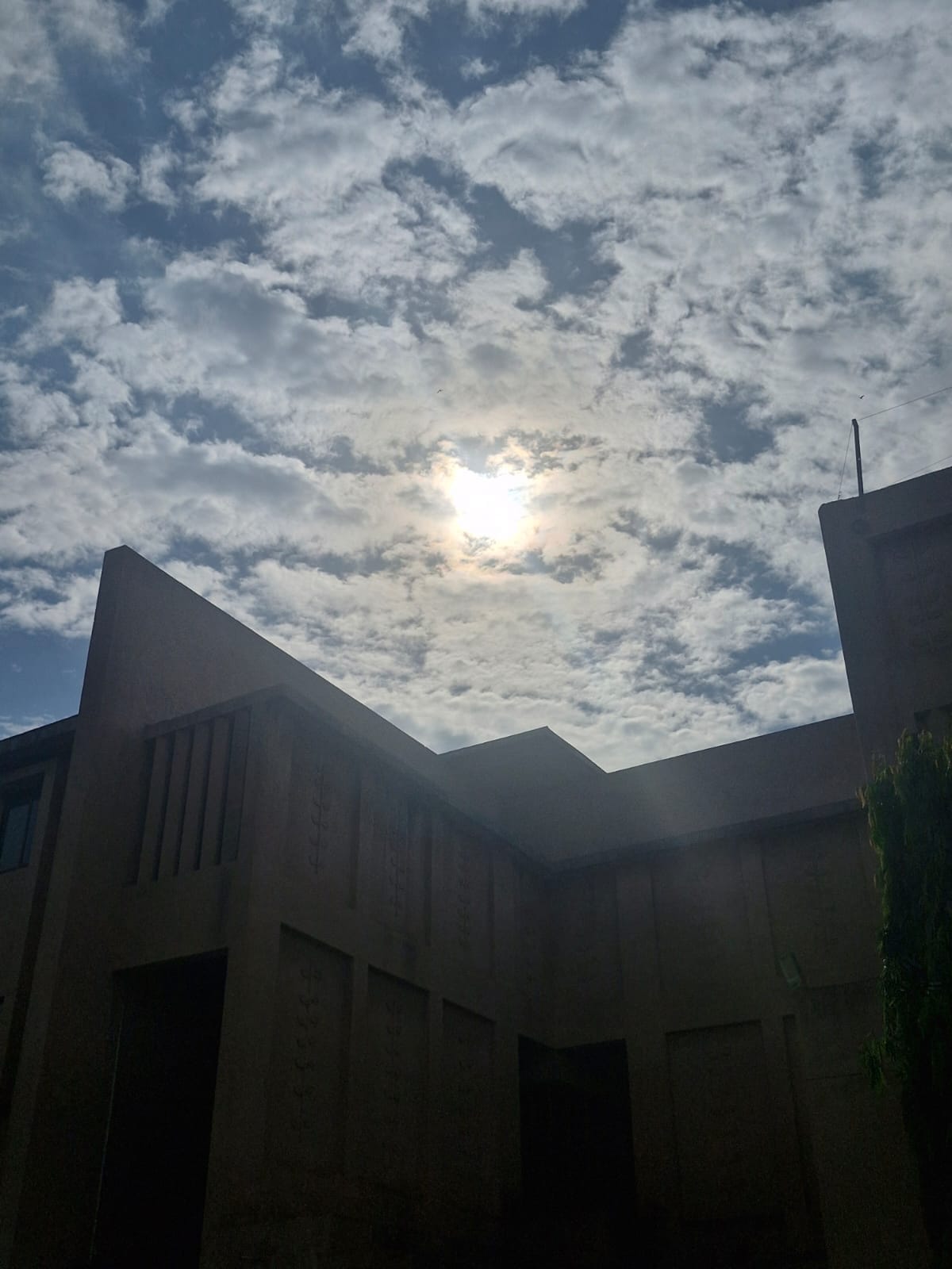 The sunshine