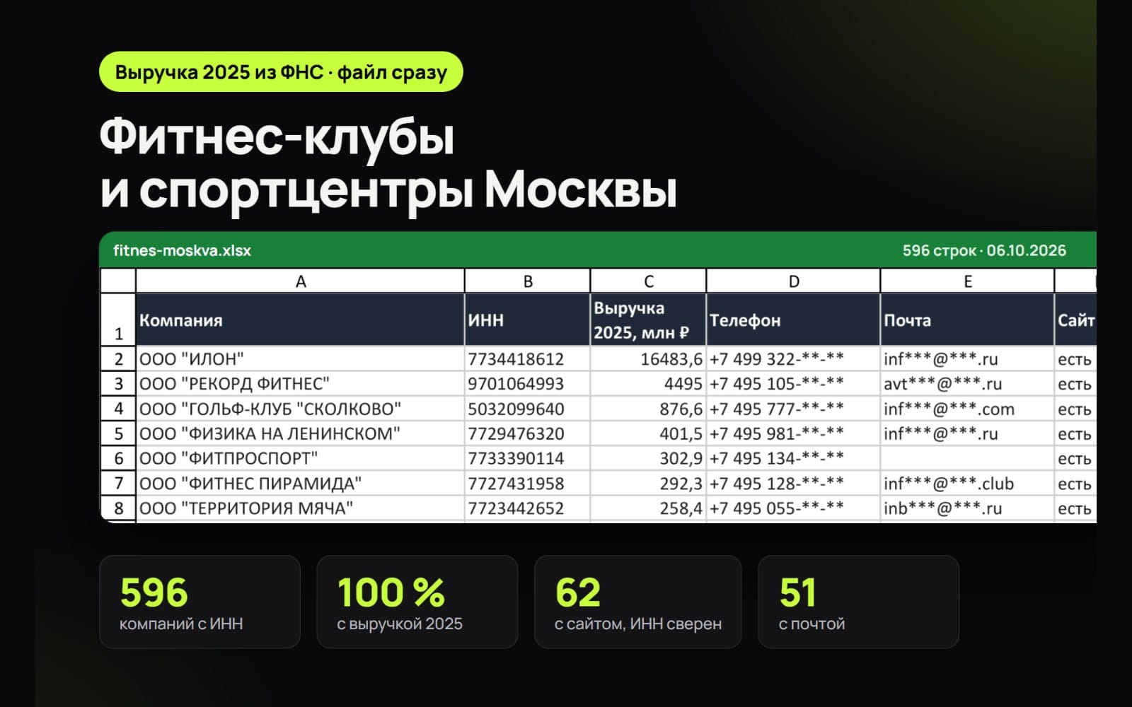 Таблица Excel с базой фитнес-клубов и спортцентров Москвы, 596 компаний и данными выручки 2025