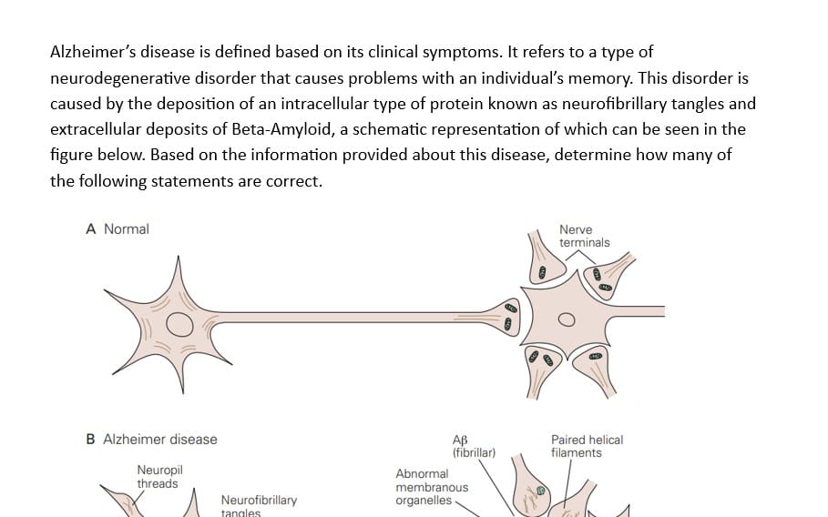 Alzheimer Neurons question