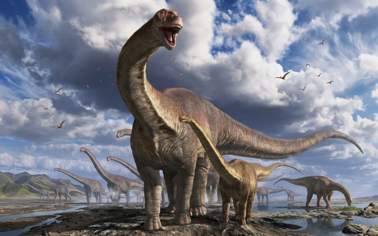 Realistic dinosaur scene with multiple dinosaurs and birds over a coloring-book style landscape for kids