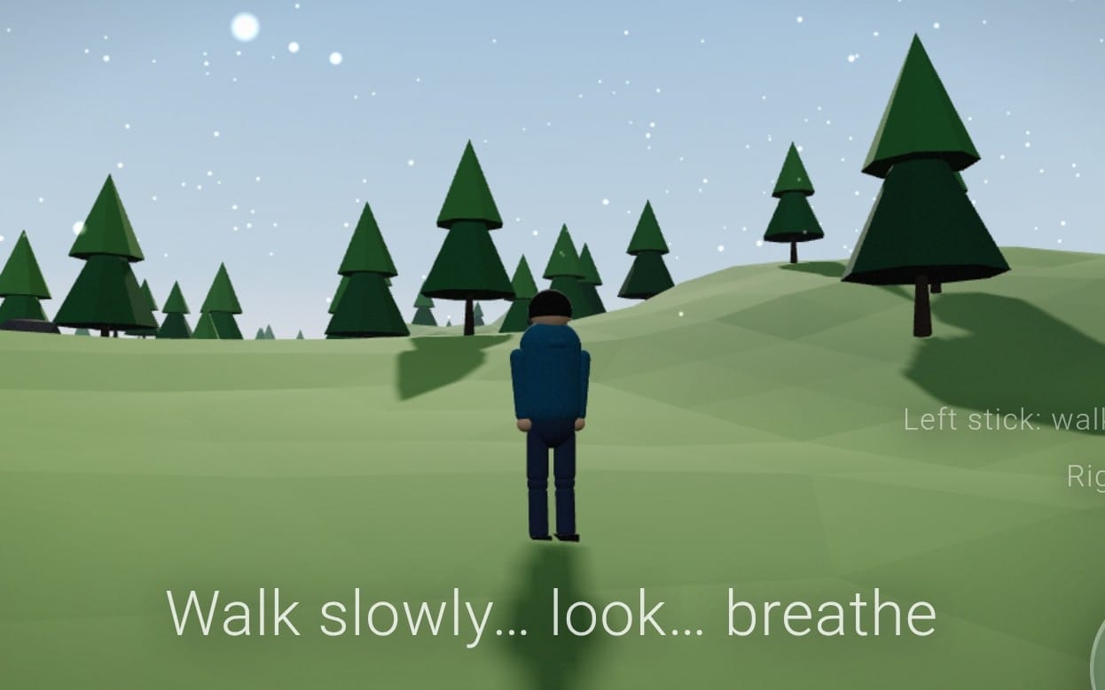 3D game scene of a character walking slowly on a grassy path toward pine trees in a snowy night forest