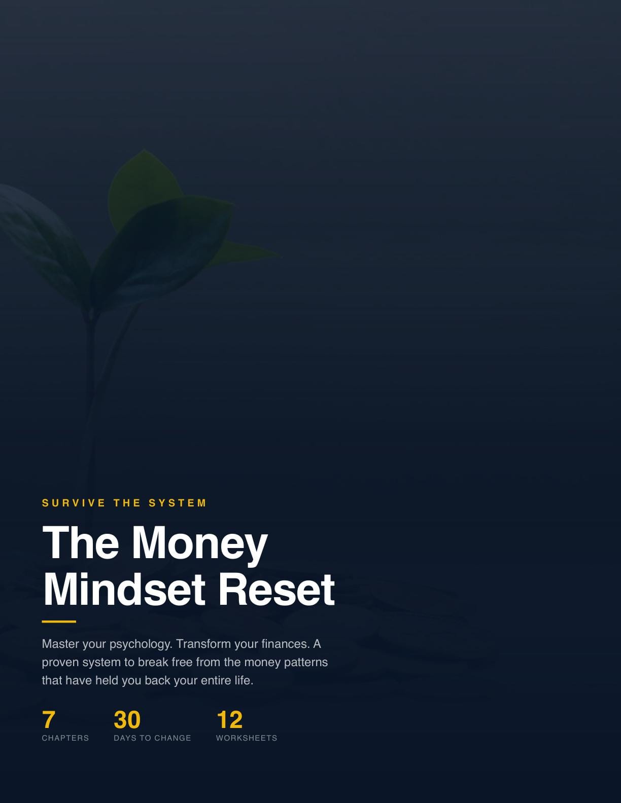 The Money Mindset Reset