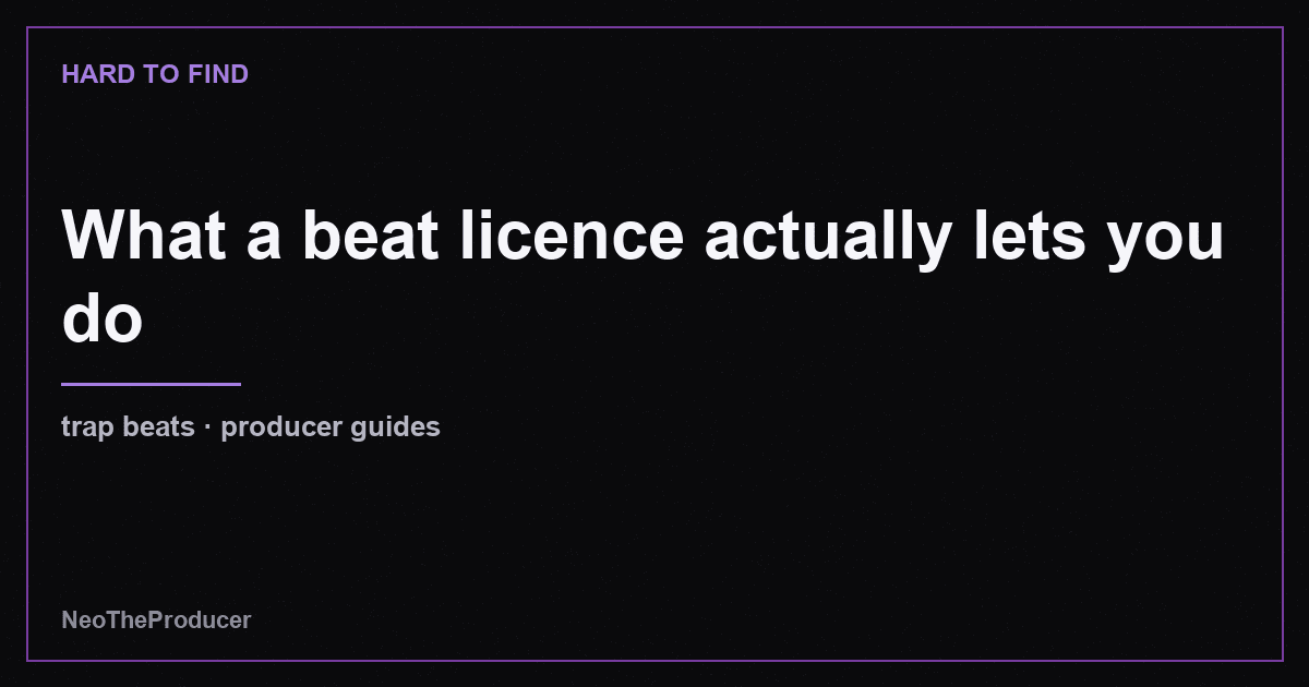 What a beat licence actually lets you do