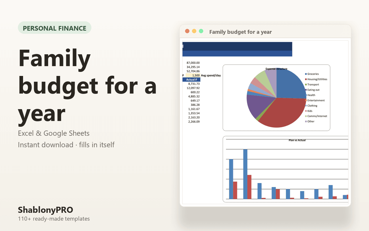 Family budget for a year