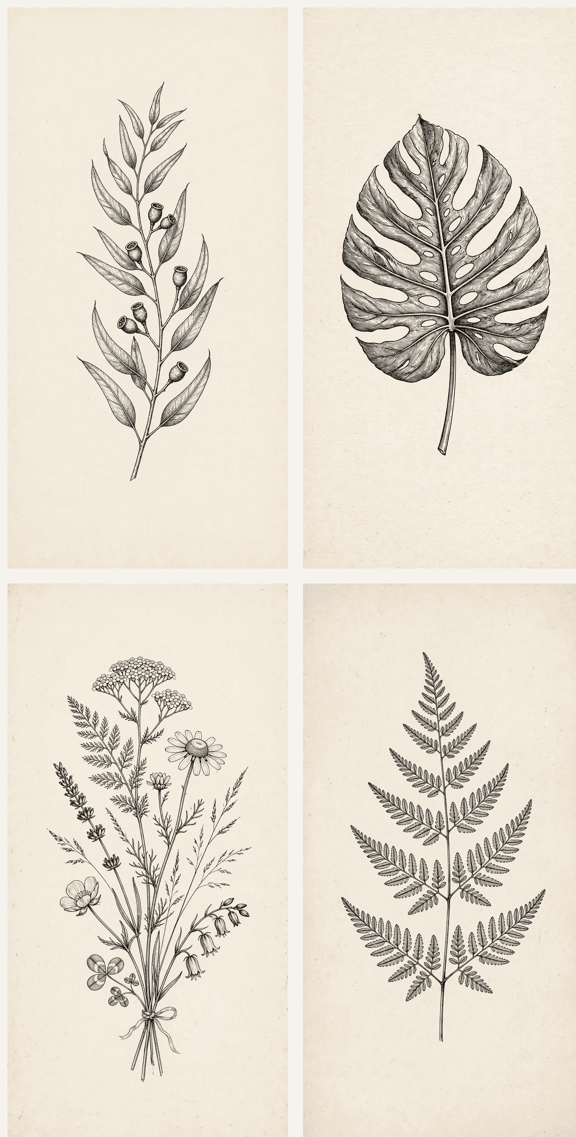 Botanical wall art set of four black and white vintage leaf and flower illustrations on cream backgrounds