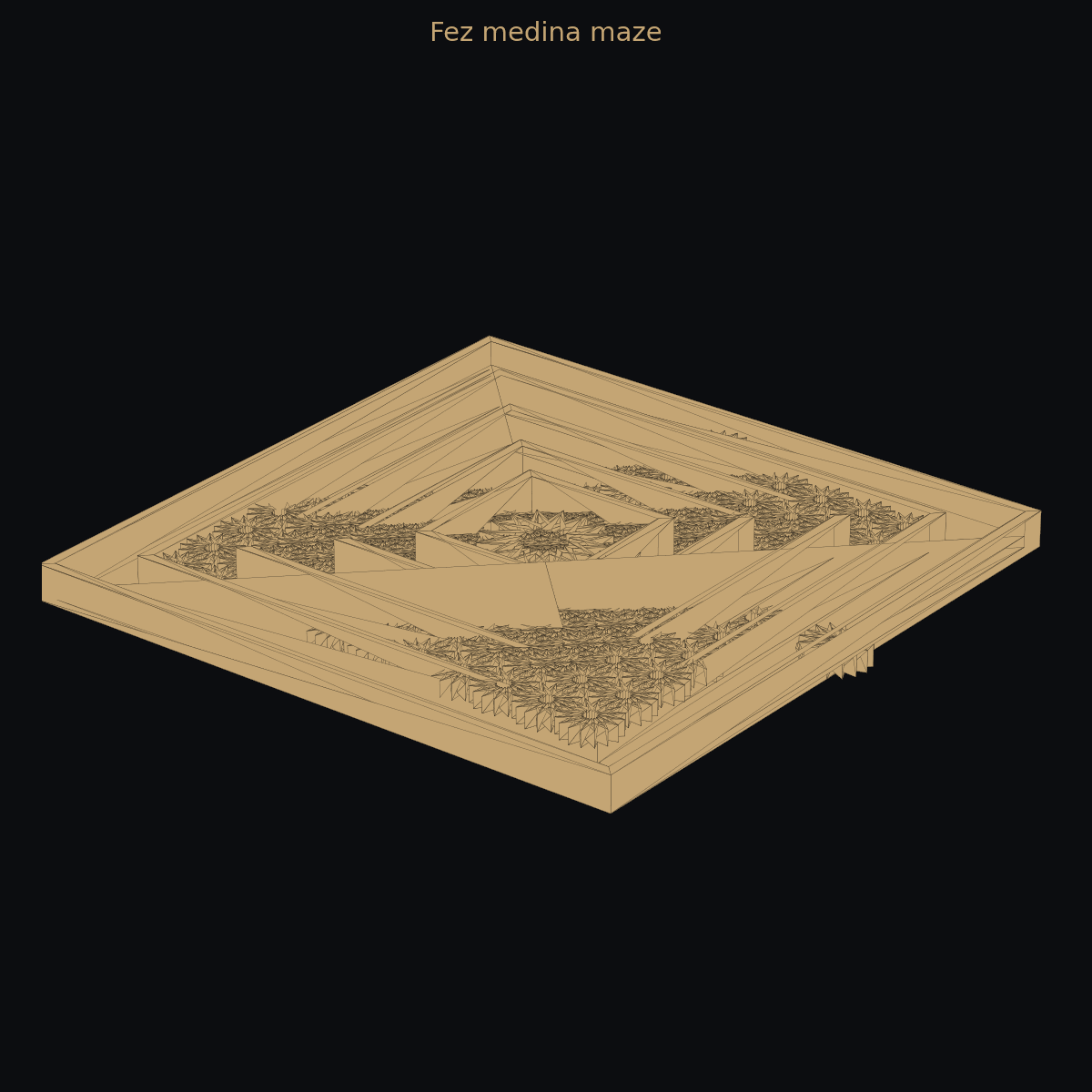 Fez medina maze — 3D schematic (two-color) 1