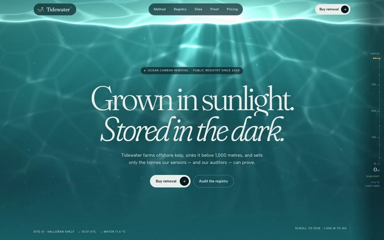 Tidewater React template — cover