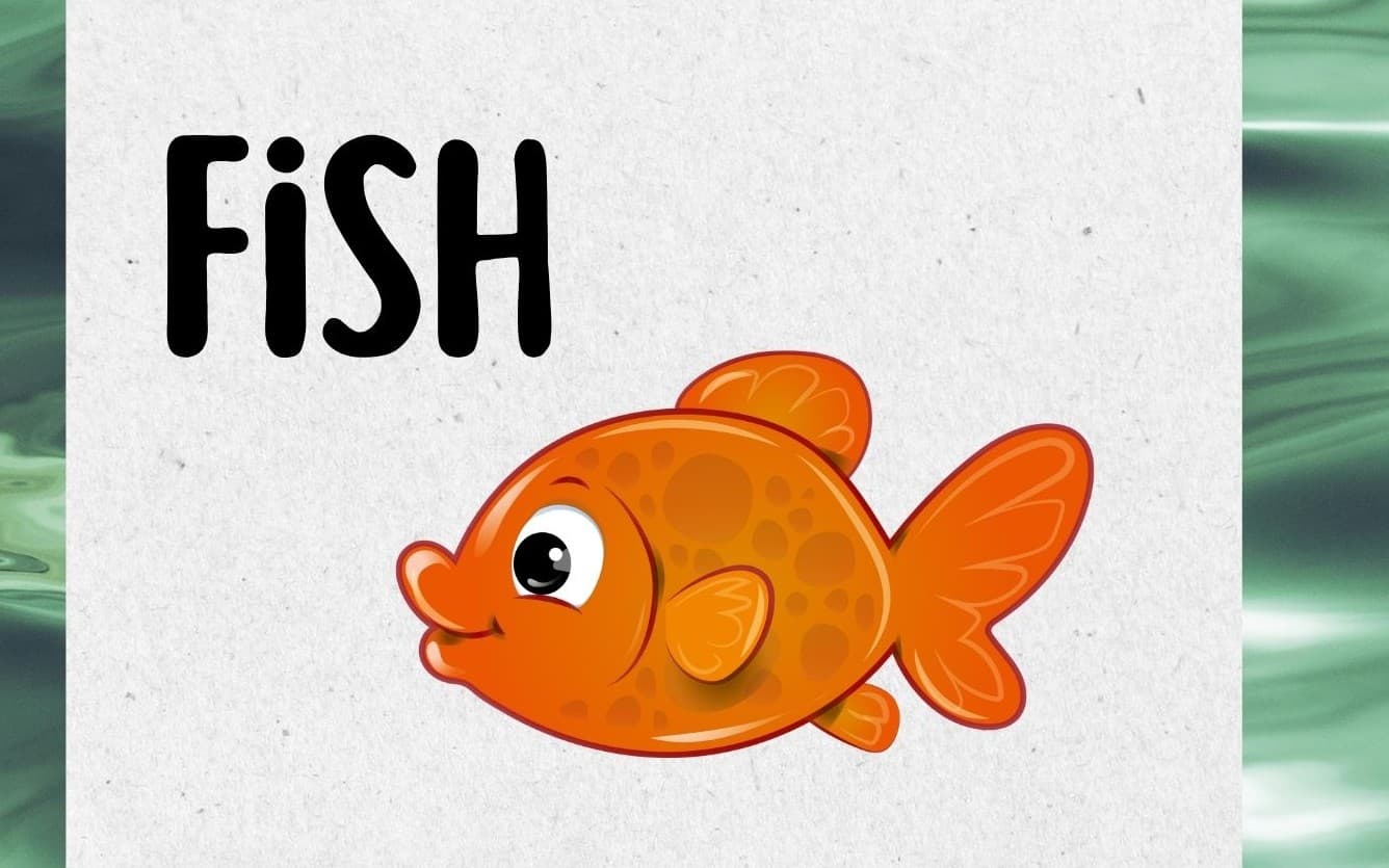 Sea animal