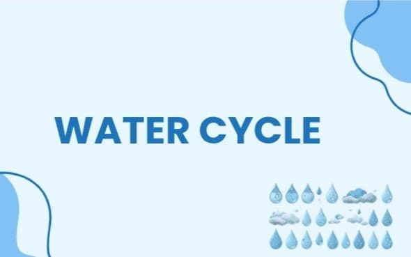 Water Cycle
