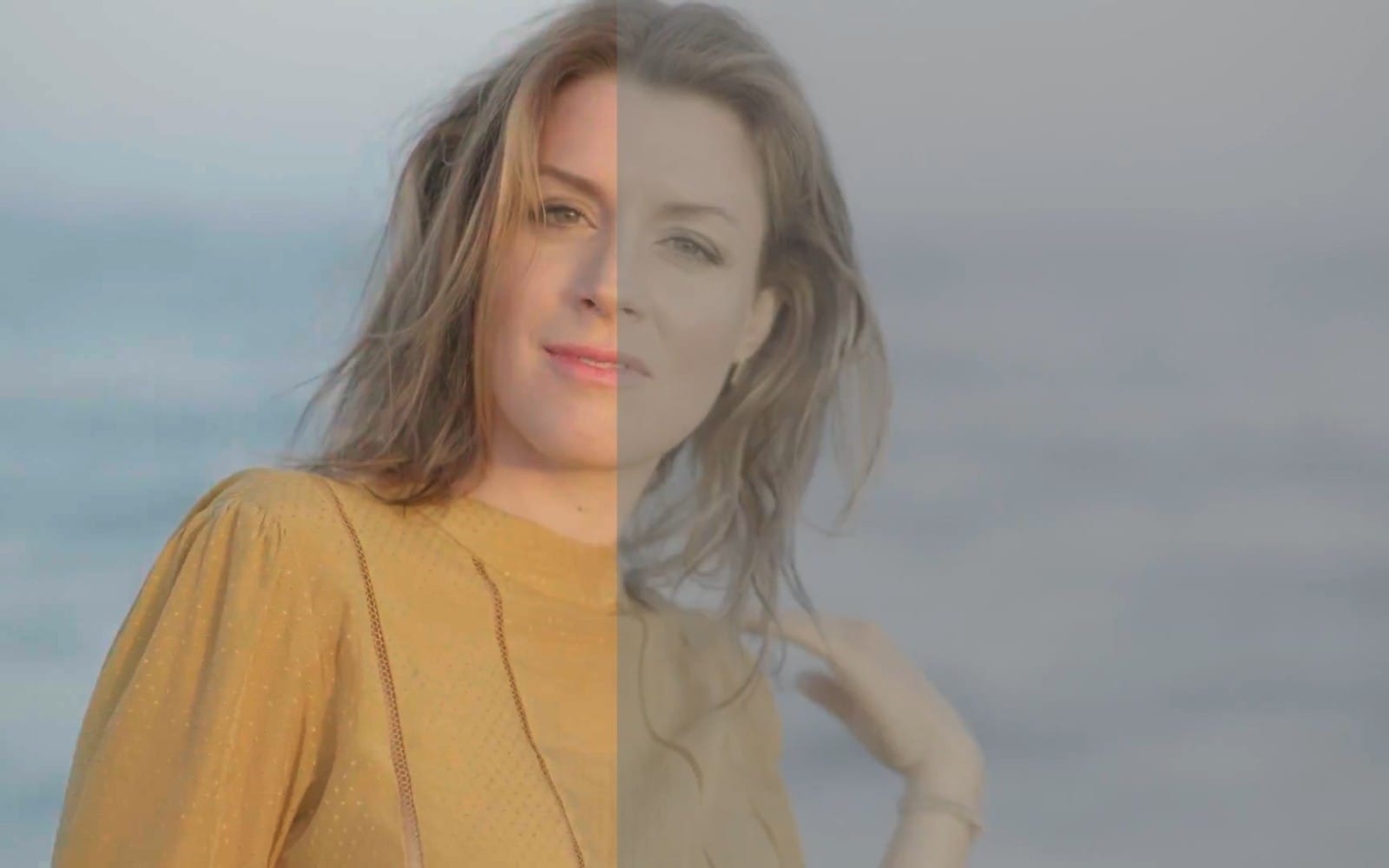 180+ Professional Luts