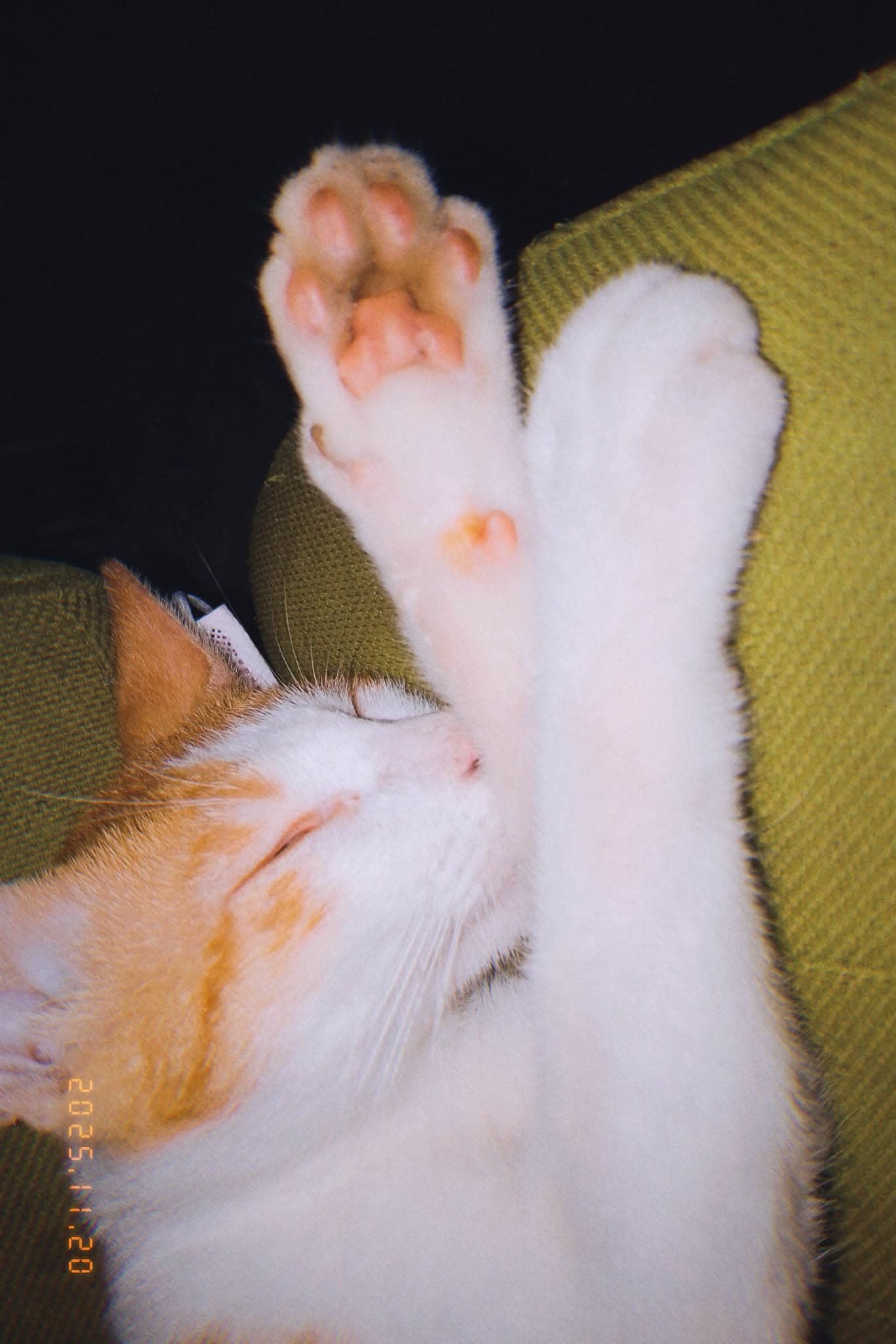 My meow