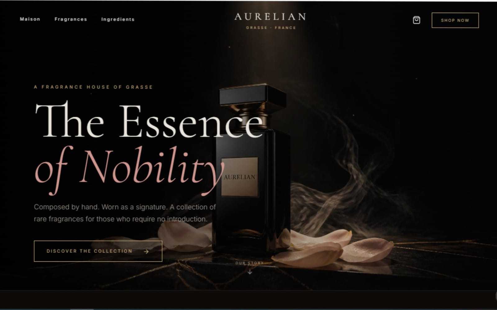Luxury perfume eCommerce template banner with a dark black bottle, elegant text, and “Shop Now” button