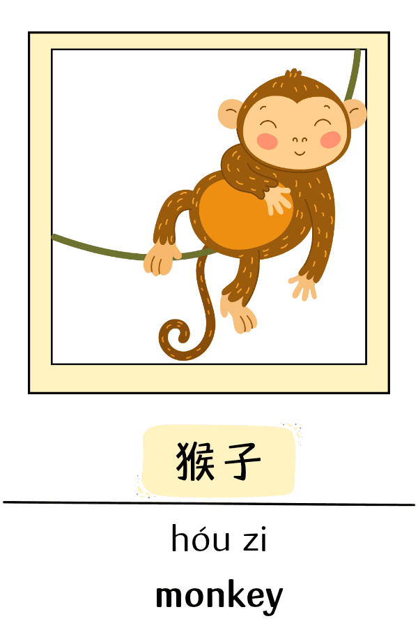 Animal Vocabulary flashcards