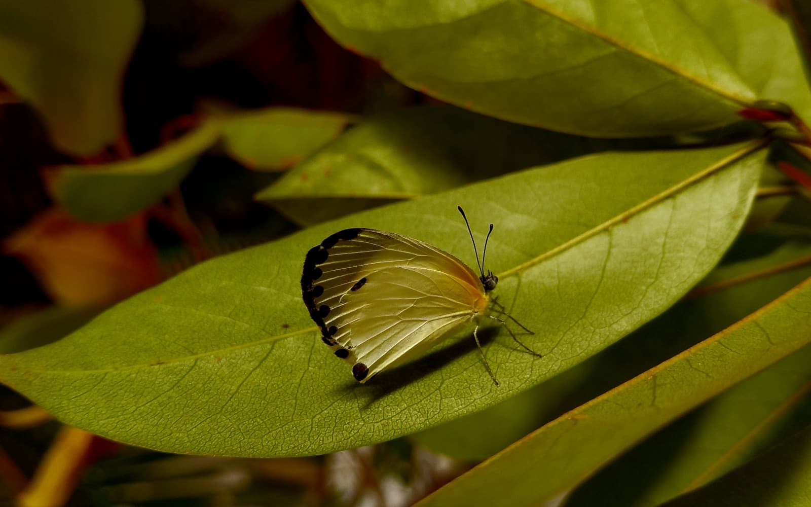 Photography