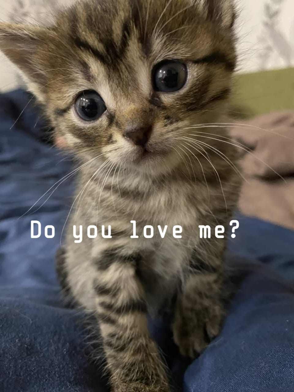 Good pet parent store banner